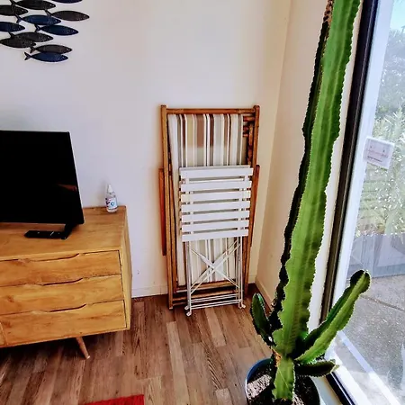 Apartament Grand T2 Ensoleille 47m2 3 Etoiles *