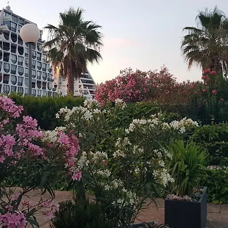 Grand T2 Ensoleille 47m2 3 Etoiles Apartman
