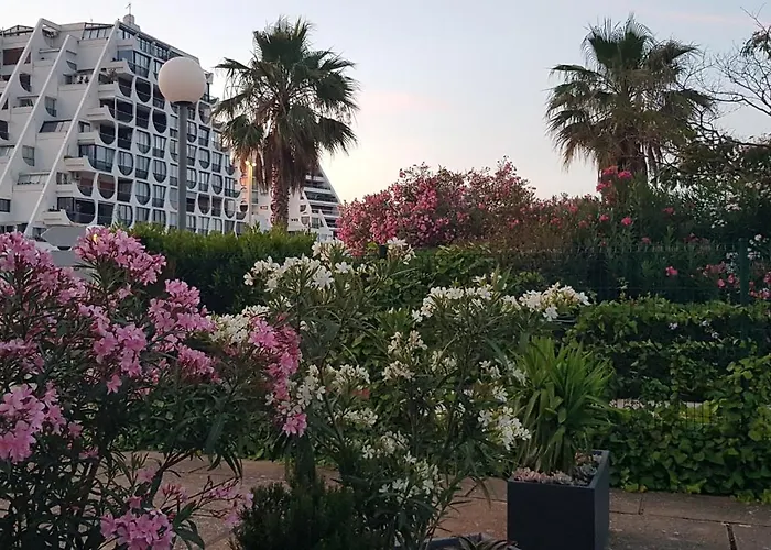 Grand T2 Ensoleille 47m2 3 Etoiles Apartamento