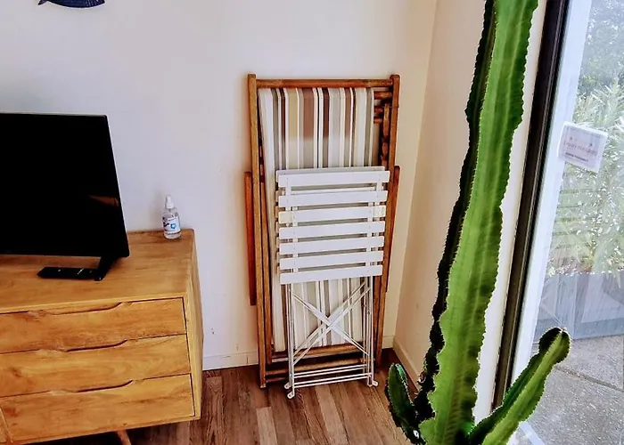 Apartamento Grand T2 Ensoleille 47m2 3 Etoiles *